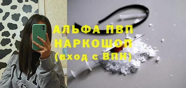 сатива Алексин