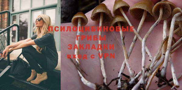 гашик Алзамай
