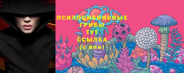 гашик Алзамай